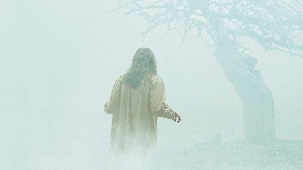Emily Rose caminando entre la niebla con un arbol de muchas ramas de fondo